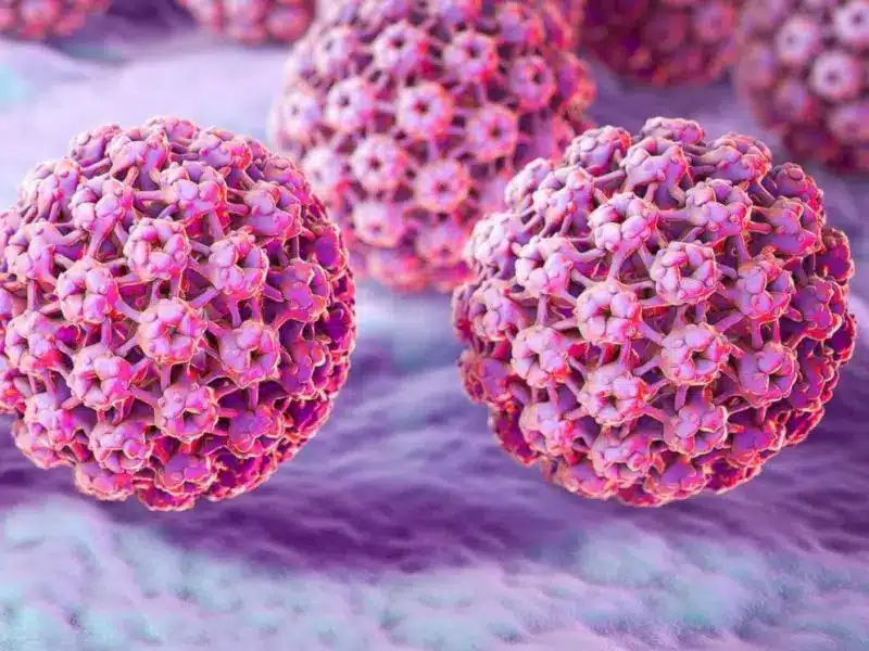 HPV Erkek Belirtileri