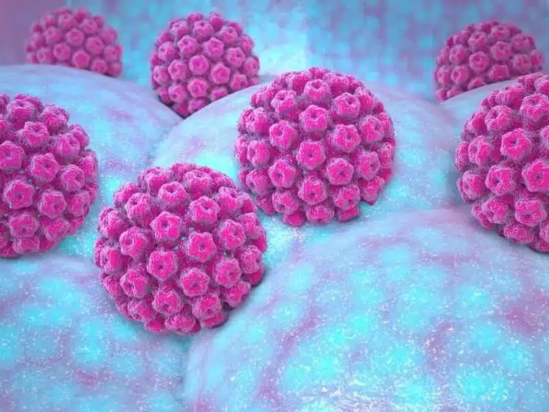 Papiloma Virus HPV