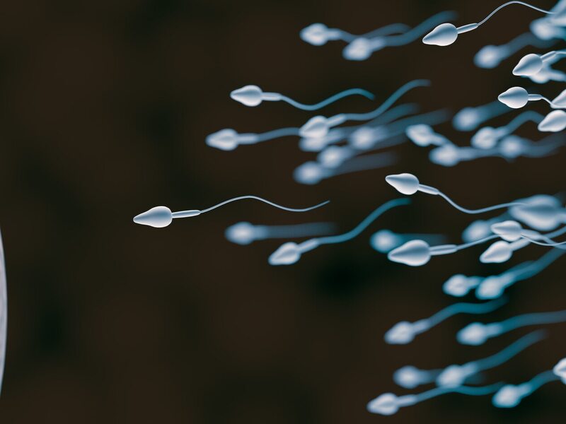 Sperm Kramp