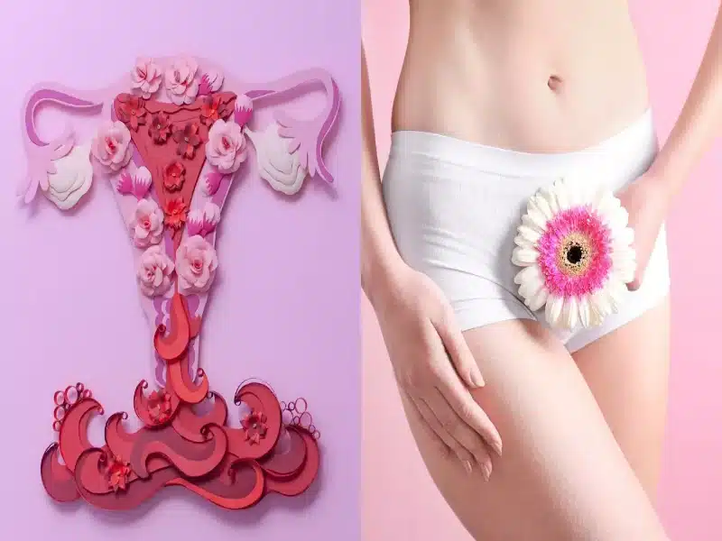 Mons Pubis Nedir?