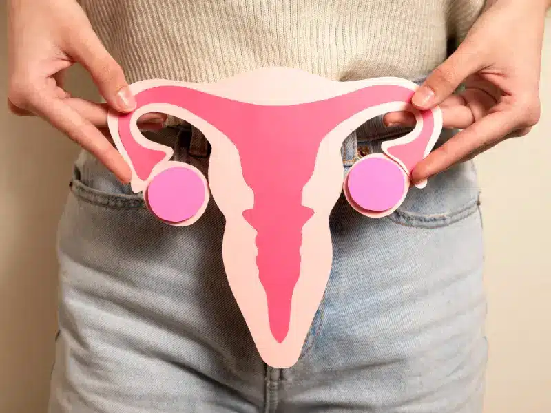 Symphysis Pubis Nedir?