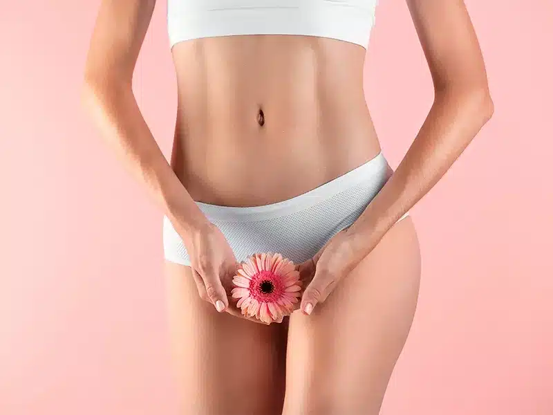 Barbie Vajina Estetiği