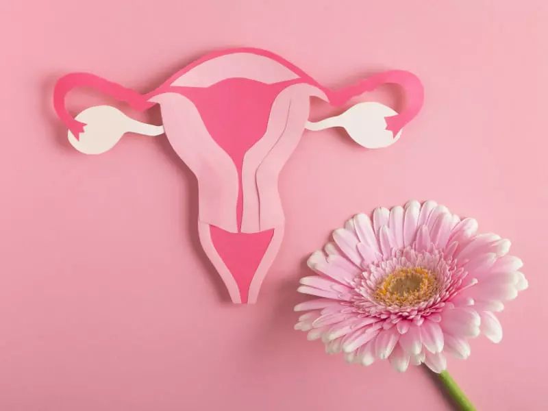Genital Estetik Ameliyatı Fiyatları